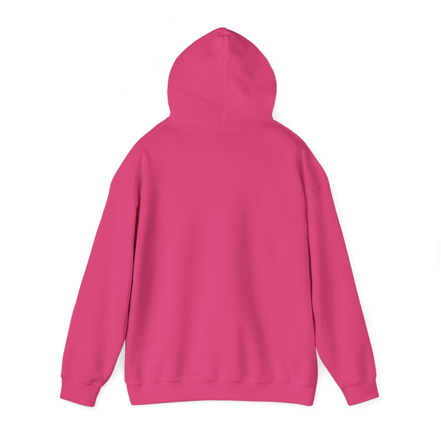 Soberish Retro Hoodie