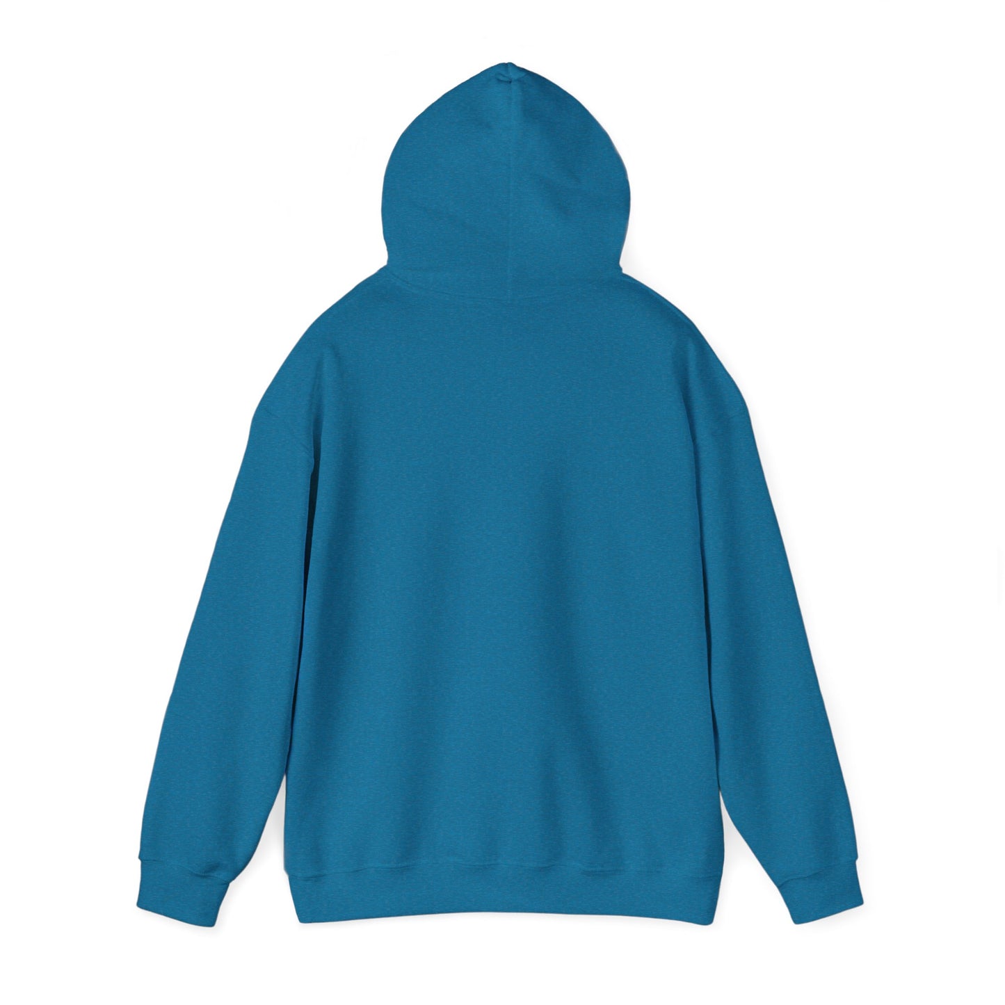 Soberish Retro Hoodie