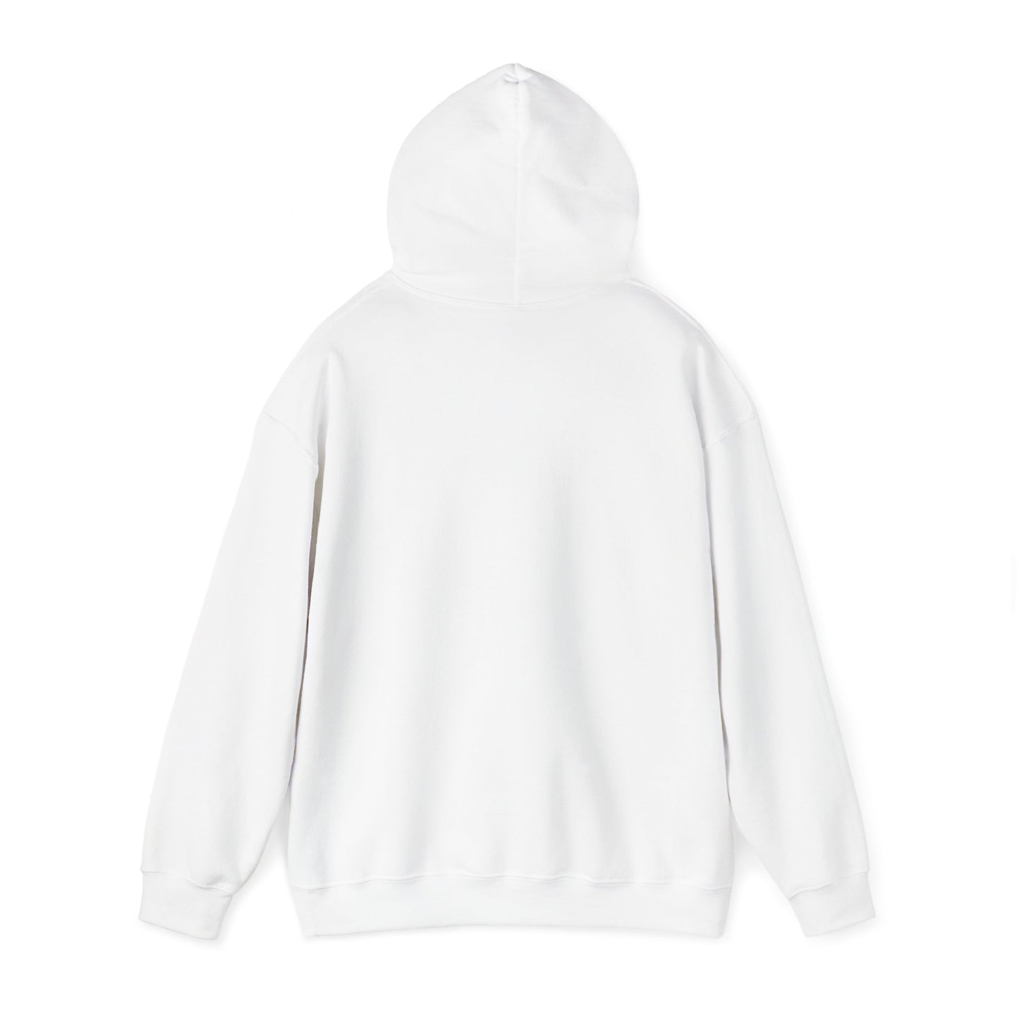 Soberish Retro Hoodie