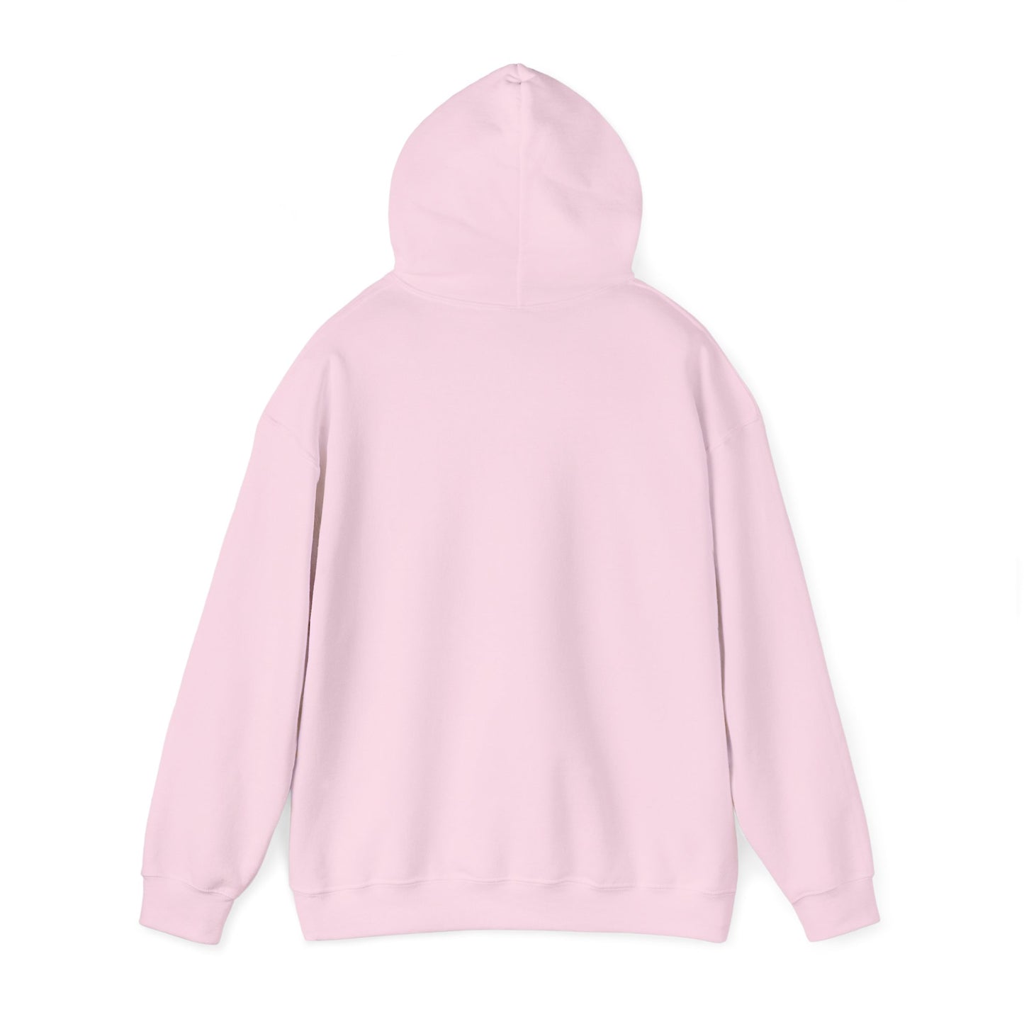 Soberish Retro Hoodie